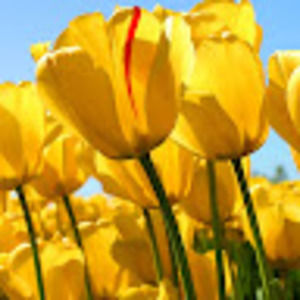 Meet your Posher, Leandra